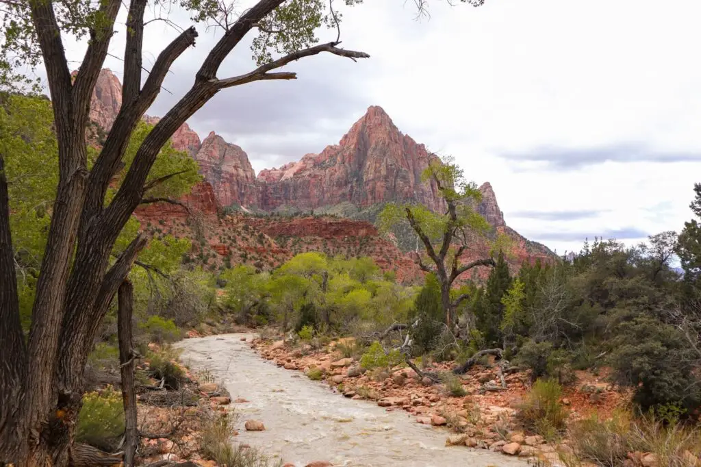 Visitar Zion National Park Pa rus Trail