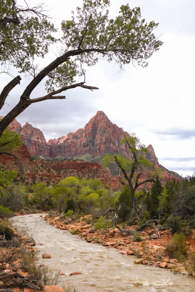 Visitar Zion National Park Pa rus Trail