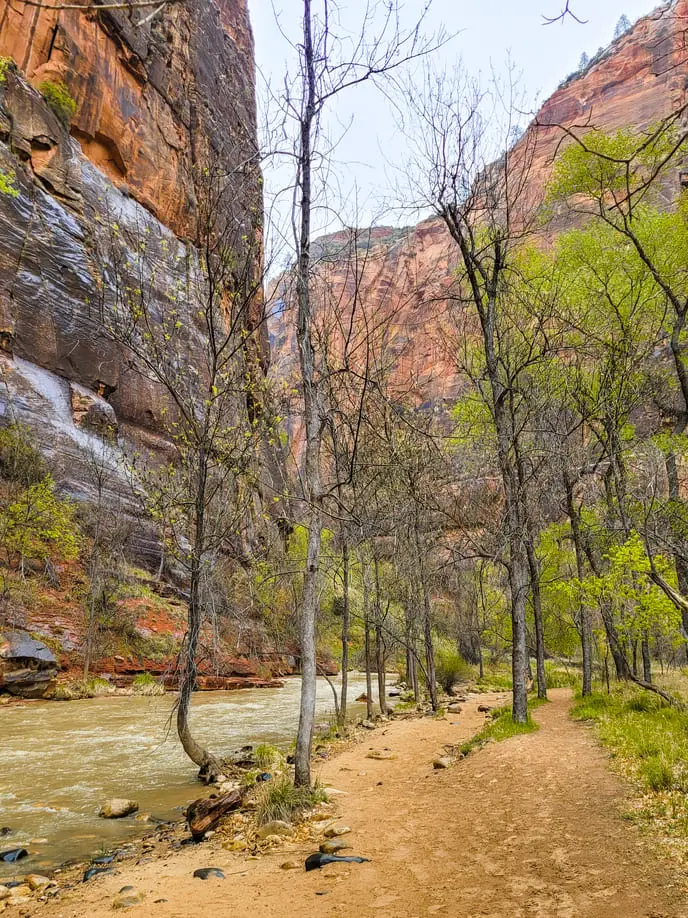 Visitar Zion National Park Riverside Walk