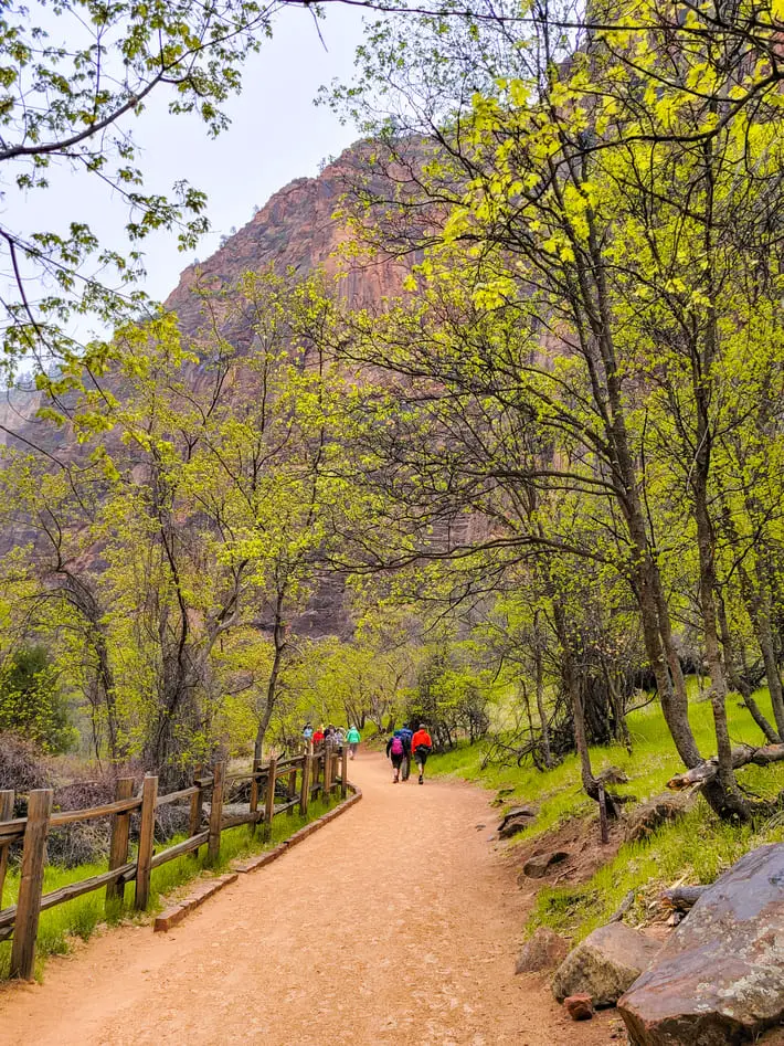 Visitar Zion National Park Riverside Walk