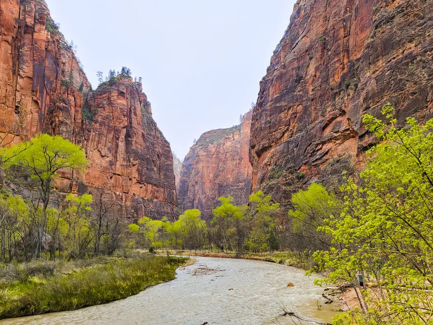 Visitar Zion National Park Riverside Walk