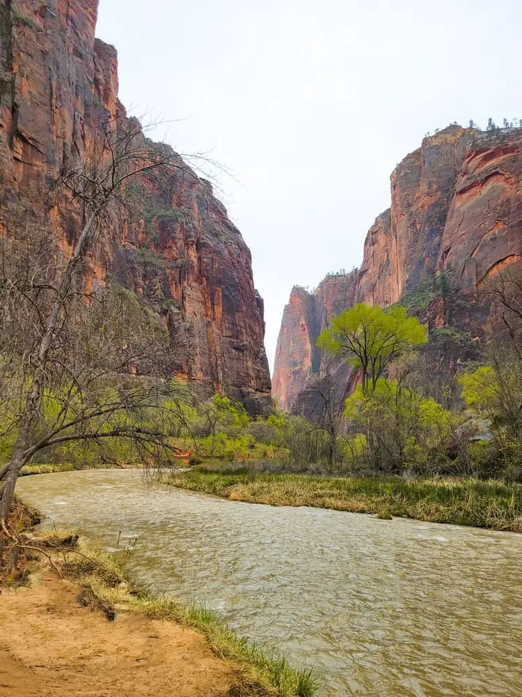 Visitar Zion National Park Riverside Walk