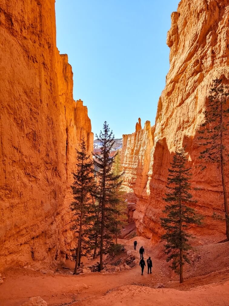 Best hike in Bryce Canyon Navajo Loop