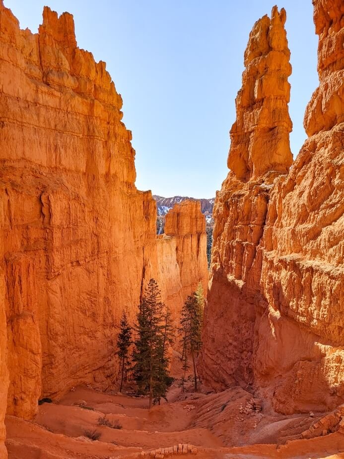 Best hike in Bryce Canyon Navajo Loop