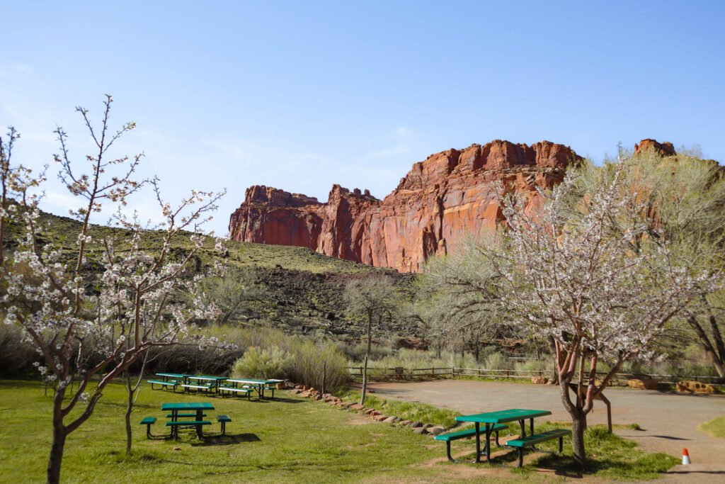 One day in Capitol Reef National Park Fruita