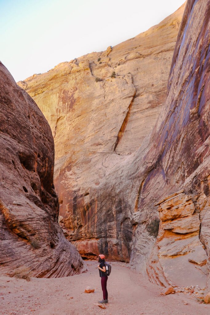 One day in Capitol Reef National Park Grand Wash Trail