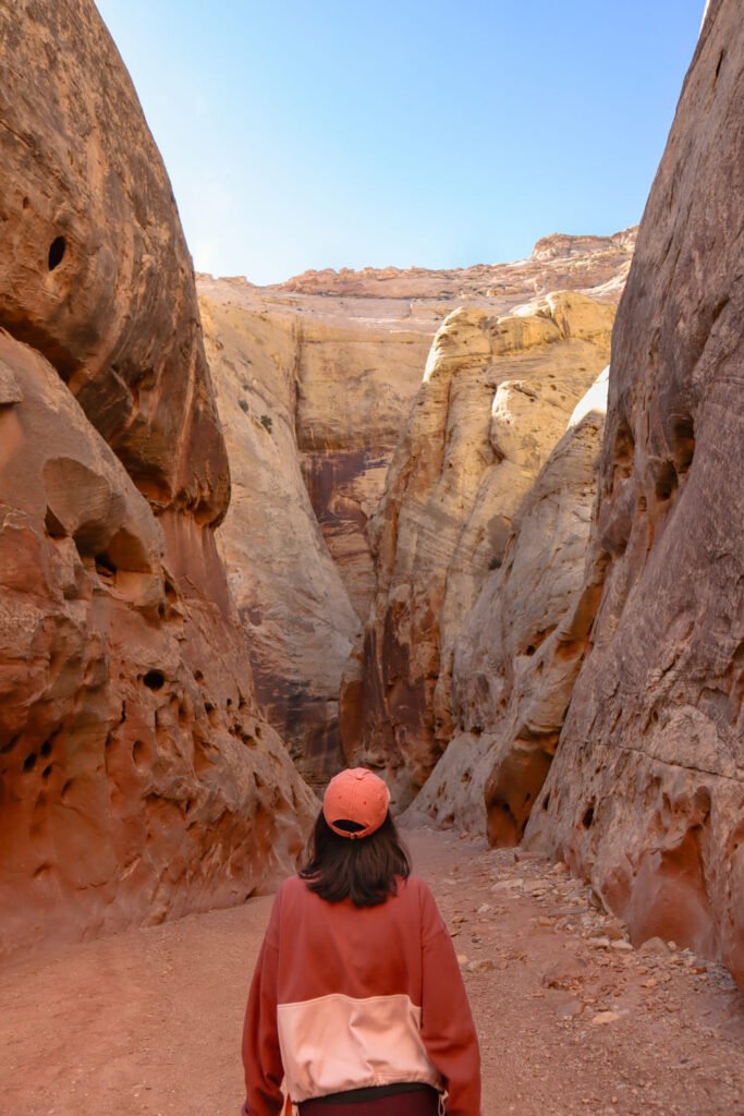 One day in Capitol Reef National Park Grand Wash Trail