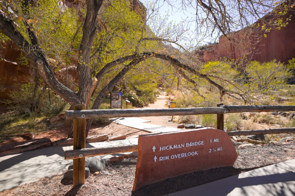 One day in Capitol Reef National Park Hickman Bridge