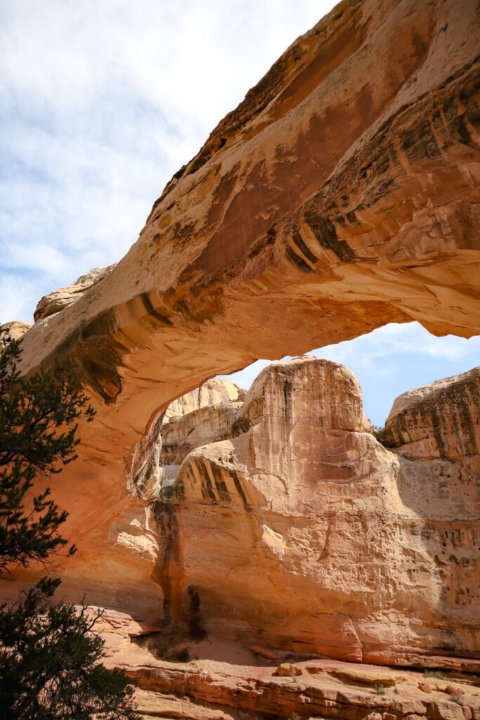 One day in Capitol Reef National Park Hickman Bridge