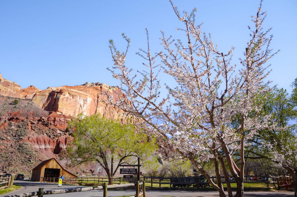 Um dia no Capitol Reef National Park Fruita