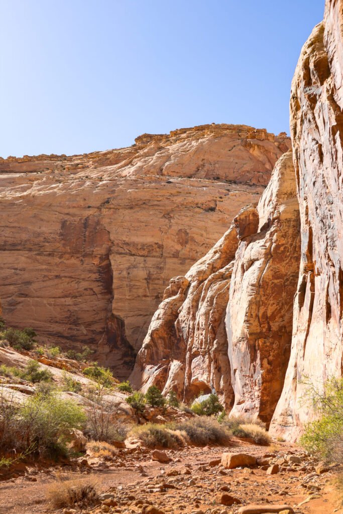 Um dia no Capitol Reef National Park Grand Wash Trail