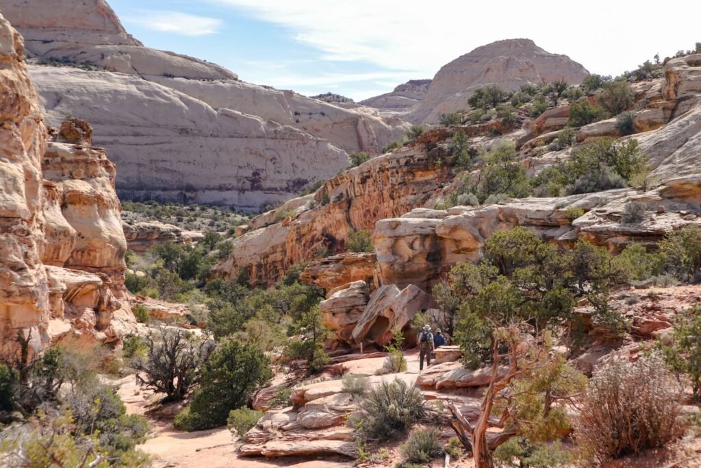 Um dia no Capitol Reef National Park Hickman Bridge 