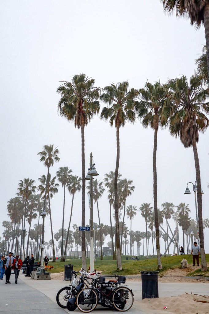 Visitar Los Angeles Venice Beach