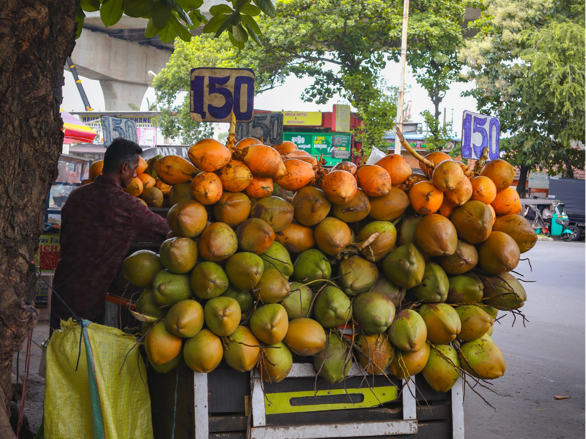 One day in Colombo Itinerary