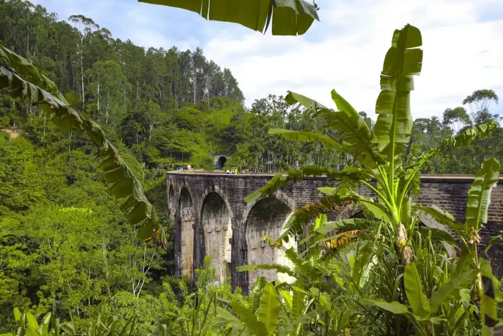 A picturesque view of the Nine Arches Bridge in Ella, Sri Lanka, framed by tropical banana leaves and dense greenery, with the tunnel entrance visible in the background