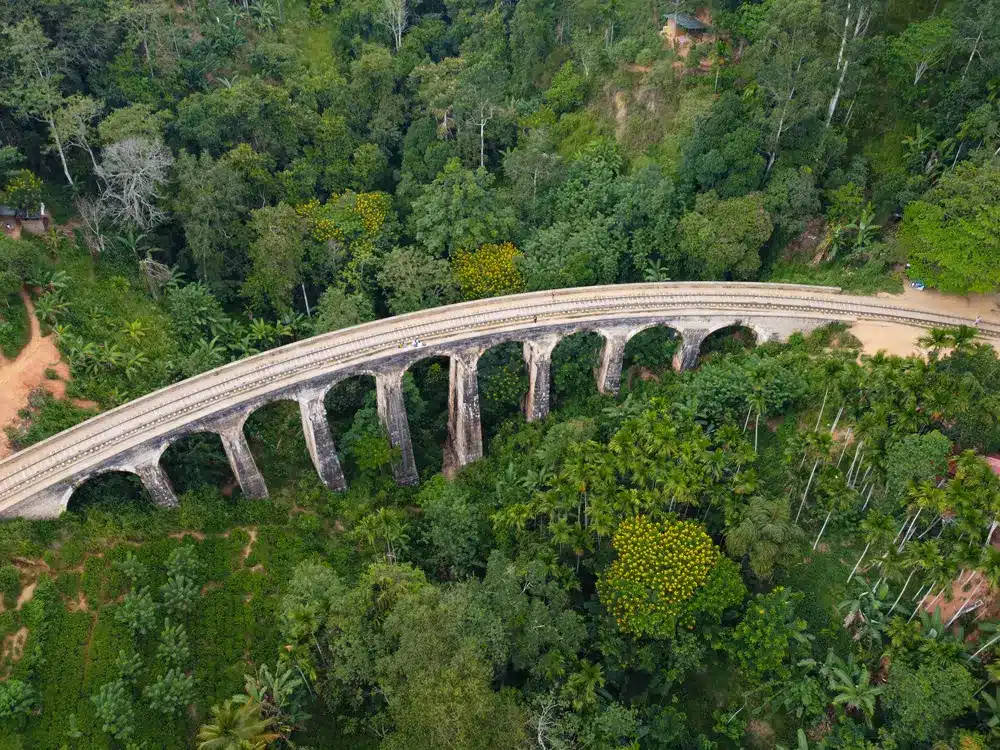 An aerial view of the Nine Arches Bridge in Ella, Sri Lanka, surrounded by dense greenery and vibrant yellow blossoms