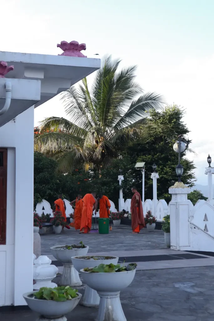 A group of Buddhist monks dressed in orange robes walking near a temple courtyard at Sri Maha Bodhi Viharaya, surrounded by palm trees and white stupa architecture. A serene destination highlighting the spiritual things to do in Kandy.