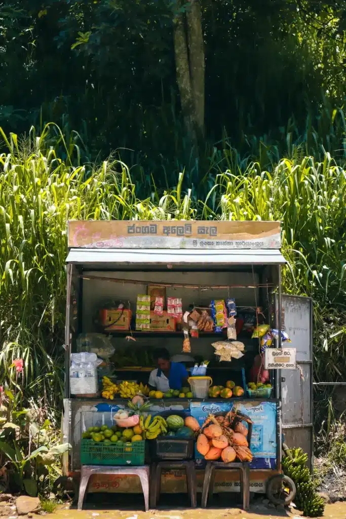 A small roadside fruit stand in Ella, Sri Lanka, offering fresh bananas, coconuts, and other tropical fruits, set against a lush green backdrop