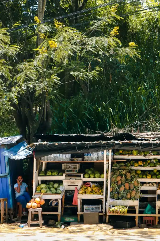 A vibrant fruit market in Ella, Sri Lanka, showcasing watermelons, pineapples, and other local produce, with a vendor smiling from the shade