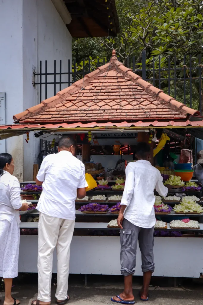 The temple grounds of the Sacred Tooth Relic, bustling with visitors dressed in traditional white attire, set against a backdrop of greenery. A top highlight among Kandy attractions and a center of spiritual significance.