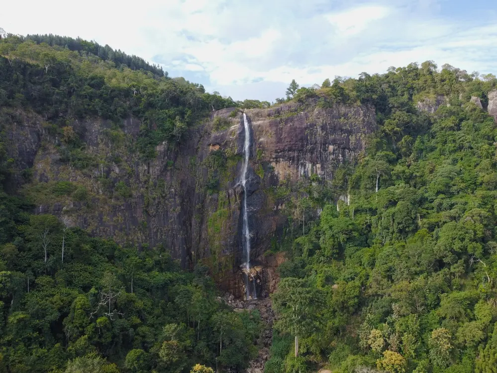 A breathtaking view of Diyaluma Falls, Sri Lanka's second-highest waterfall, cascading down a rocky cliff surrounded by lush greenery