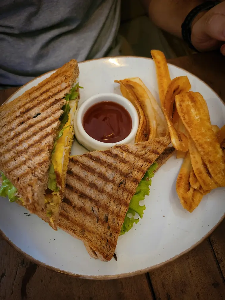 A grilled sandwich with a side of crispy fries and a serving of ketchup on a white plate. A glimpse of the delicious food options available in Kandy restaurants.