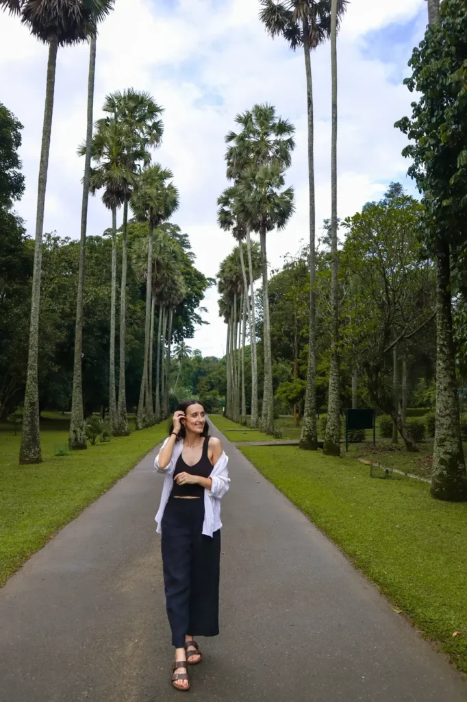 A majestic pathway flanked by tall, symmetrical palm trees at the Royal Botanical Gardens. A visitor walks down the middle of the path, enjoying the tranquil atmosphere.