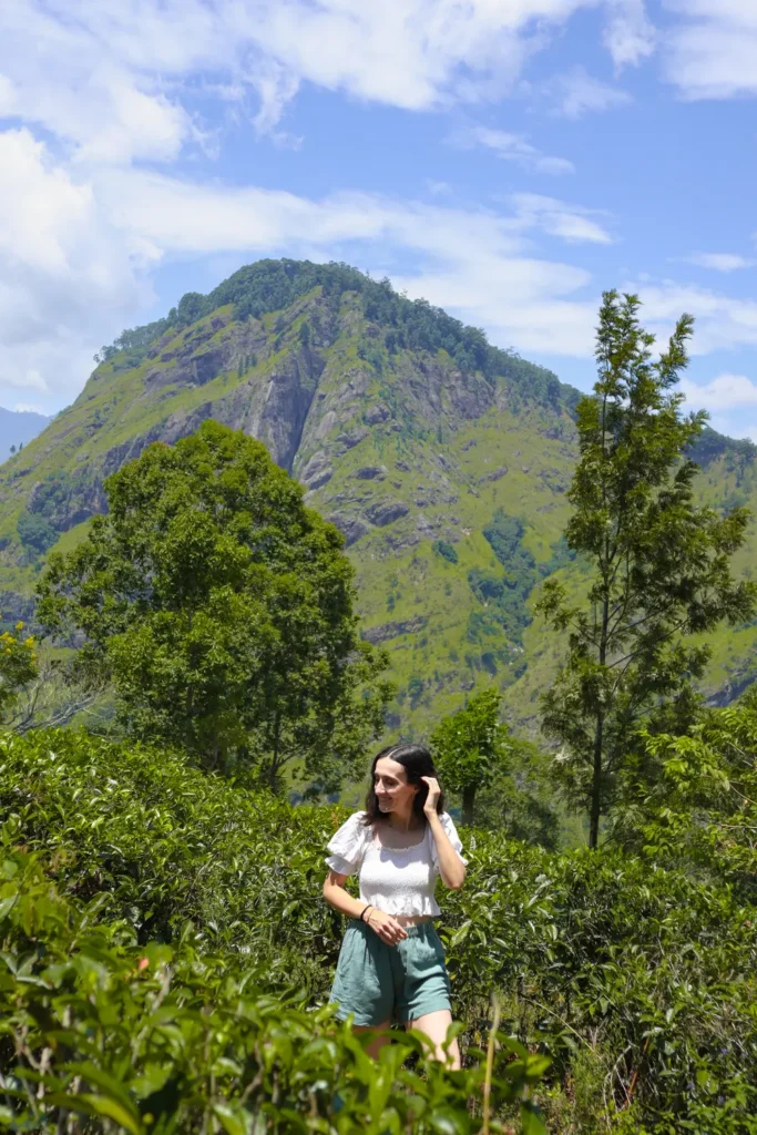 A woman strolls through vibrant green tea plantations with Little Adam's Peak towering in the background on a sunny day. Exploring the tea plantations and admiring the views of Little Adam's Peak is among the best things to do in Ella for nature lovers.