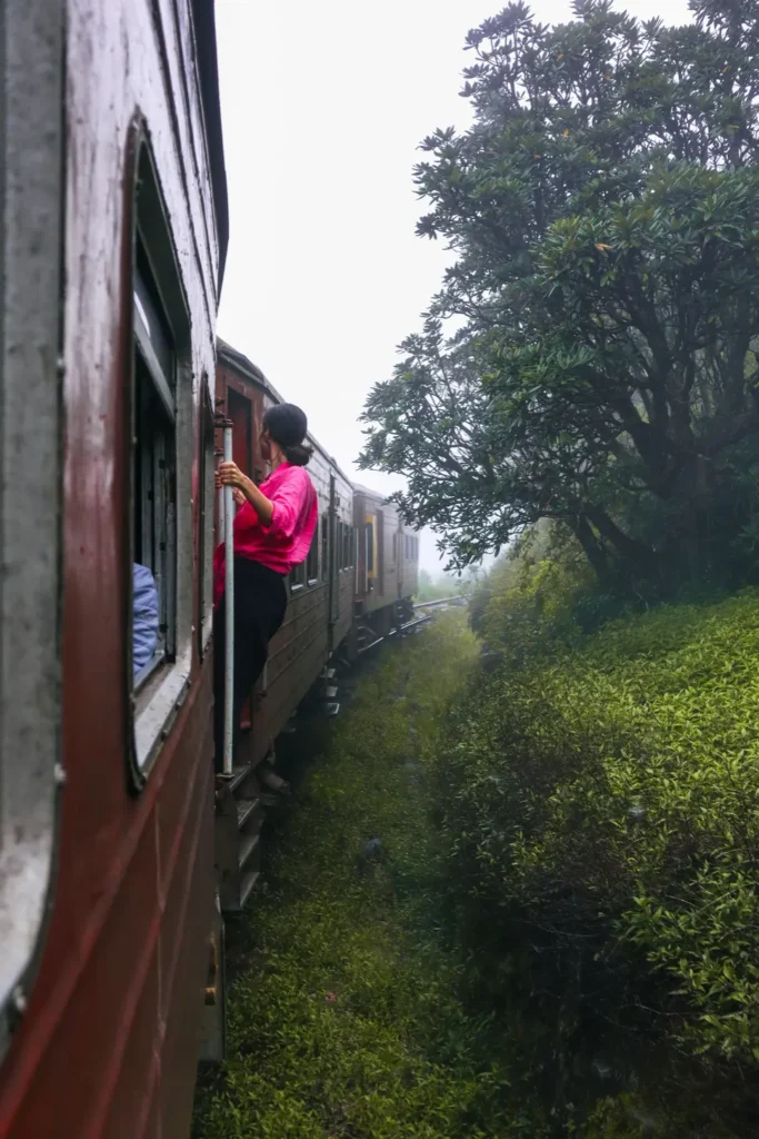 A woman in a pink shirt leans out of a train moving through a misty landscape, surrounded by lush green foliage and rolling hills