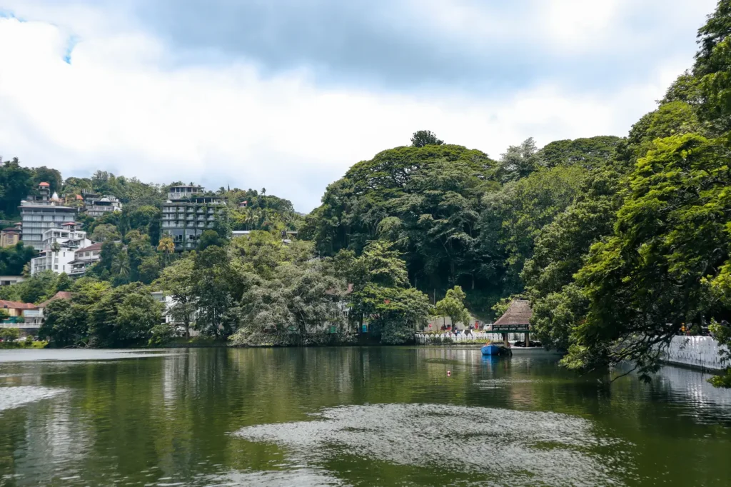 A panoramic view of Kandy Lake, bordered by lush greenery and residential buildings on the hills. The calm water mirrors the picturesque scenery, creating a tranquil vibe.