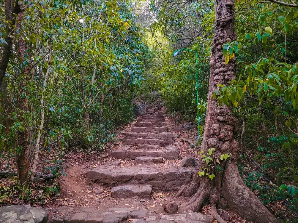 Guia para visitar Pidurangala Rock