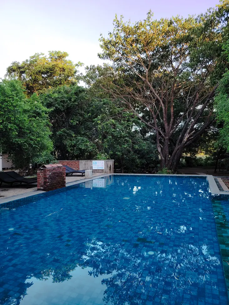 A serene outdoor swimming pool surrounded by lush green trees