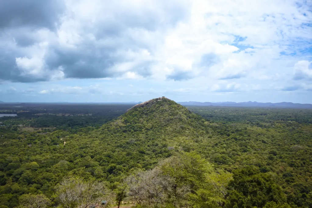 A scenic view of Pidurangala Rock covered in dense greenery, as seen from the top of Lion Rock in Sigiriya