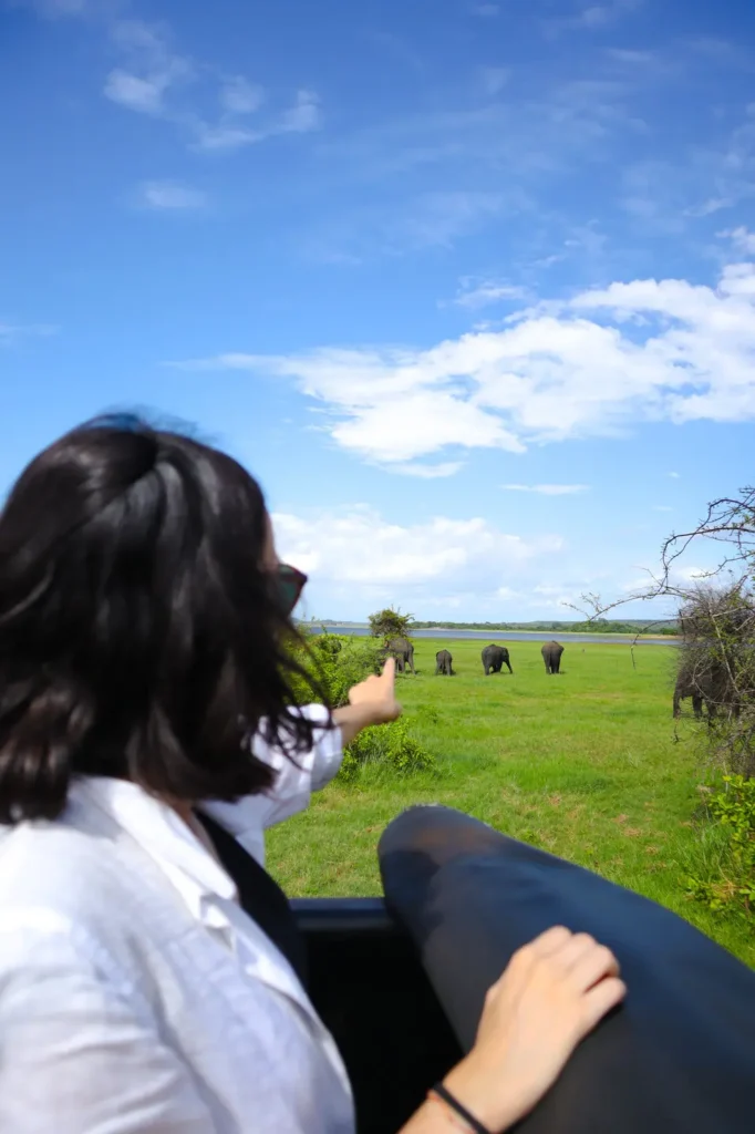 A woman with dark hair, wearing a white shirt and sunglasses, sits in an open-air safari vehicle pointing towards a group of elephants grazing in the lush green grasslands of Minneriya National Park