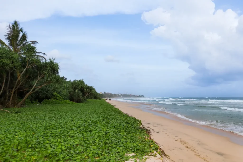 A tranquil stretch of Koggala Beach with lush greenery and soft waves—perfect for a peaceful walk and a must on your list of things to do in Mirissa.