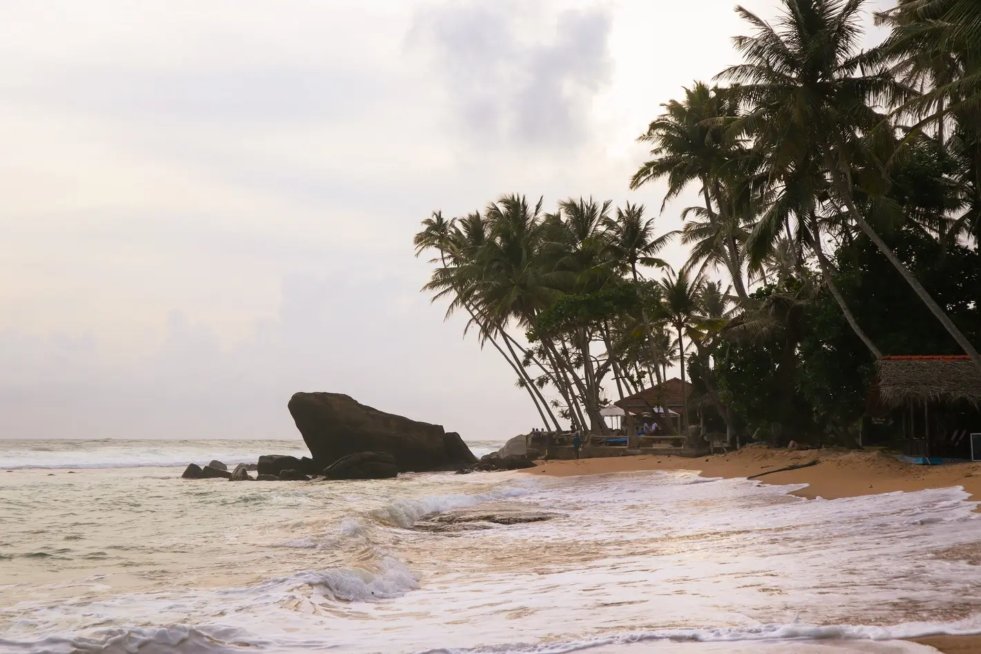 Captured at golden hour, the Frog Rock formation and leaning palm trees along Dalawella Beach create a dreamy scene—definitely a cool thing to do in Mirissa for sunrise lovers.