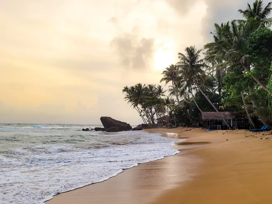 A tranquil view of Dalawella Beach with gentle waves and palm trees silhouetted at sunset—this peaceful shoreline is among the relaxing things to do in Mirissa.