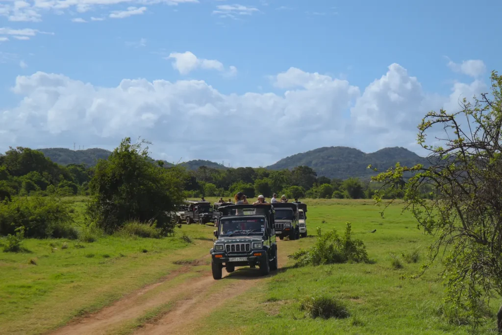 Minneriya National Park Safari Jeep 4