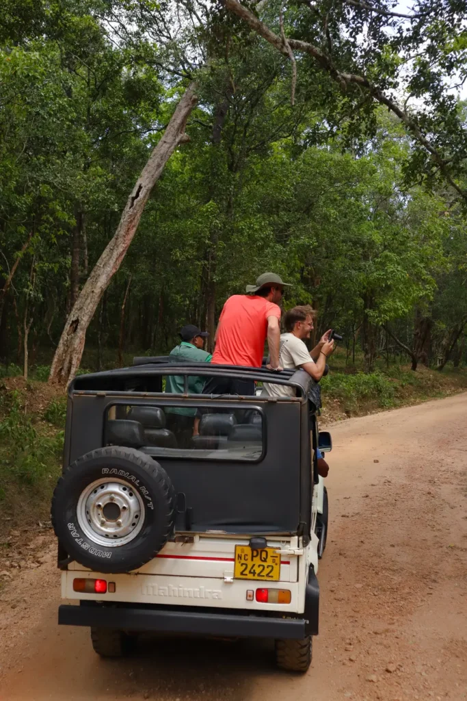 Minneriya National Park Safari Jeep 5