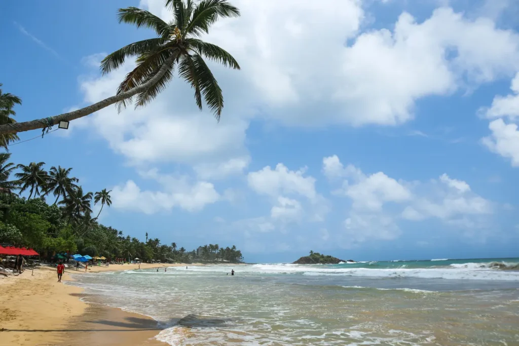 A wide shot of Mirissa Beach with tourists, gentle waves, and a dramatic leaning palm tree, capturing the essence of fun things to do in Mirissa.