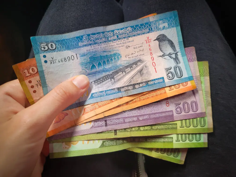 A hand fans out colorful Sri Lankan banknotes in denominations of 10, 50, 100, 500, and 1,000 rupees, each note featuring detailed local imagery and native wildlife. Managing local currency like this is an essential part of planning a trip to Sri Lanka, especially for budgeting everyday expenses.