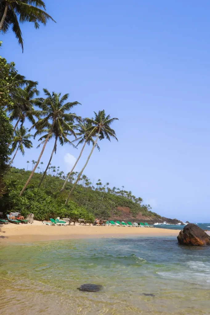 Tropical view of Secret Beach in Mirissa, Sri Lanka, with crystal-clear water, a golden sandy shore, and rows of green lounge chairs under tall palm trees—an ideal escape when exploring things to do in Mirissa and top places to visit in Mirissa.