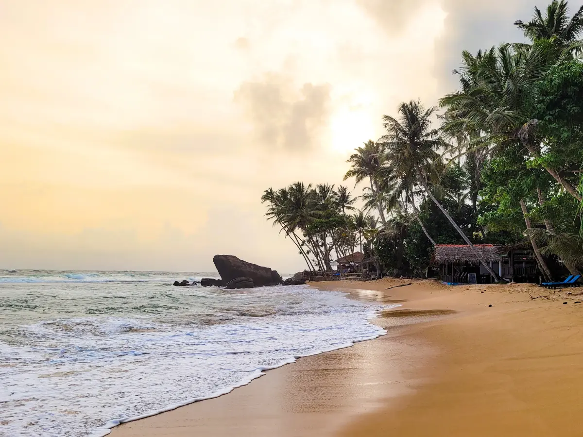 Top things to do in Mirissa