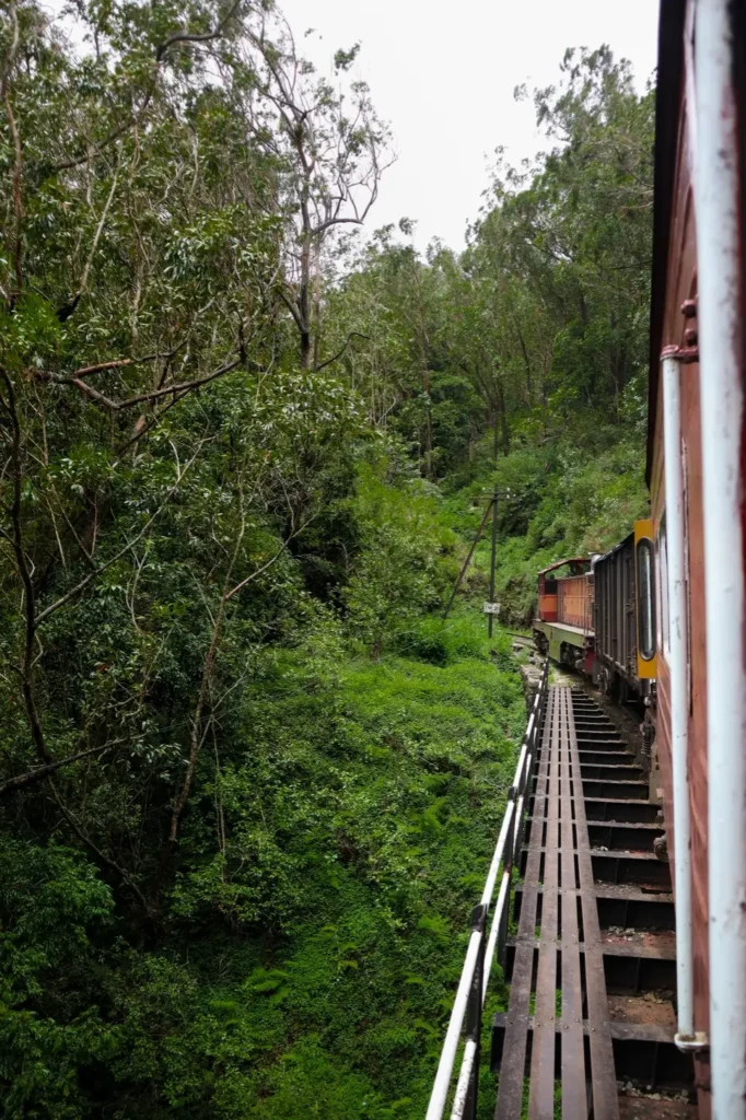 A red Sri Lankan train crosses a narrow wooden bridge through dense green forest. This dramatic curve is a highlight of the kandy to ella train experience through the hill country.