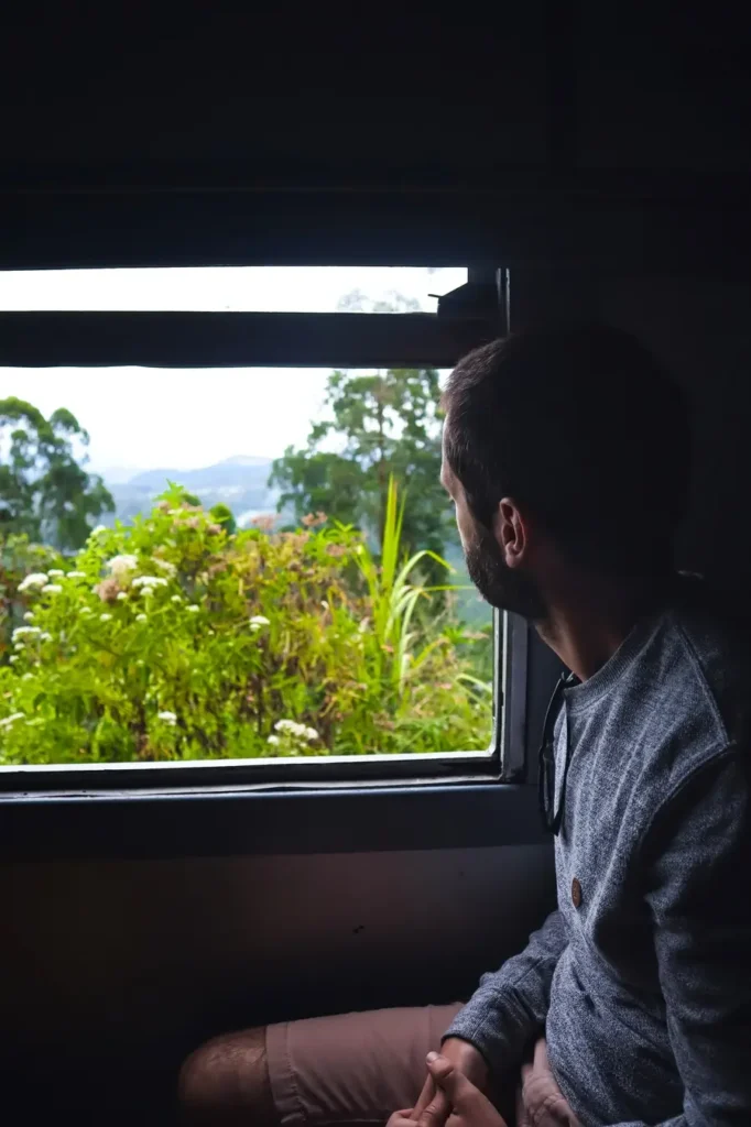 A man in a grey sweater sits inside a train carriage, gazing out the window at vibrant green vegetation. The relaxed pace of the kandy to ella train makes it perfect for soaking in the peaceful views.