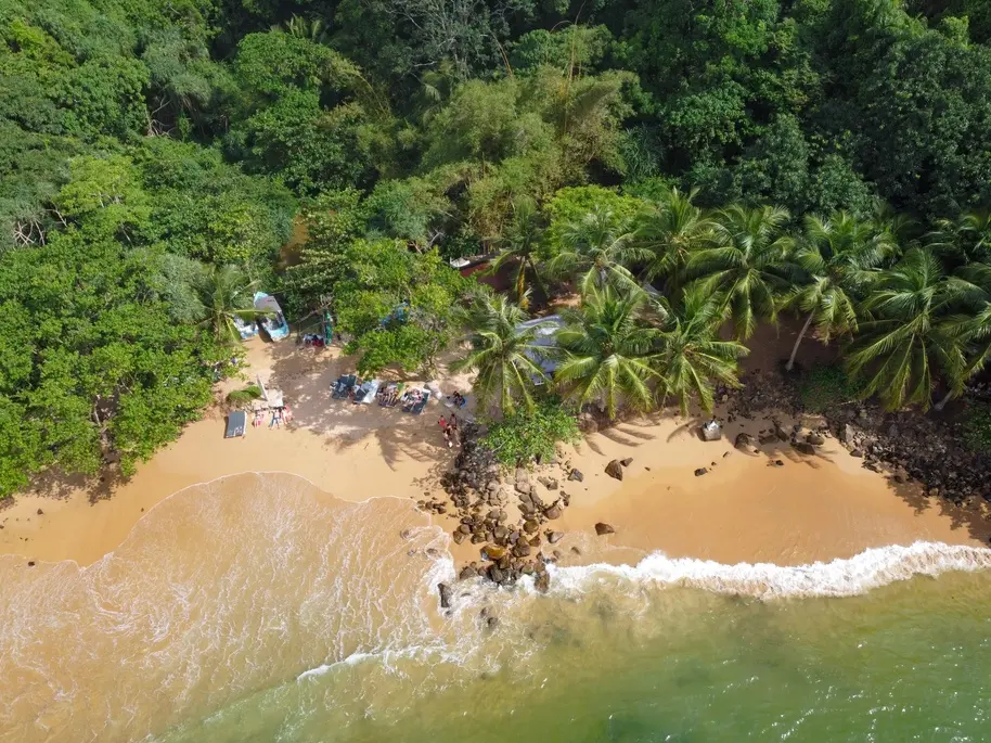 Aerial view of Jungle Beach in Mirissa, showcasing soft sand, palm trees, and colorful umbrellas nestled against dense tropical forest—one of the most tranquil places to visit in Mirissa.