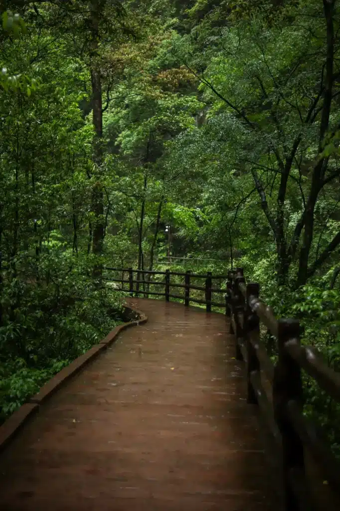 Guia de viagem de Zhangjiajie Golden Whip Stream