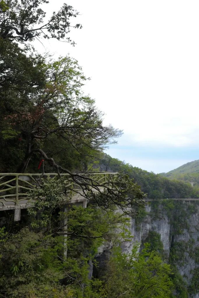 Rotas no topo da Montanha Tianmen 2