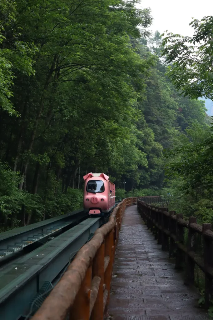 Zhangjiajie Itinerary Ten Mile Gallery