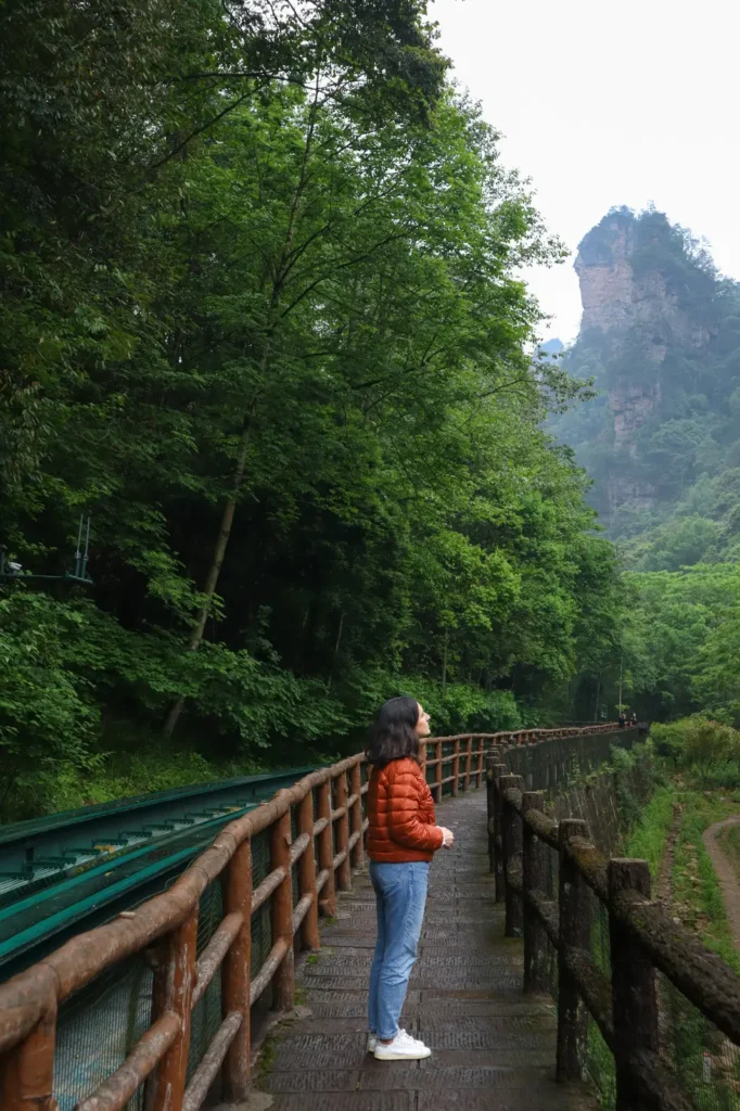 Zhangjiajie Itinerary Ten Mile Gallery